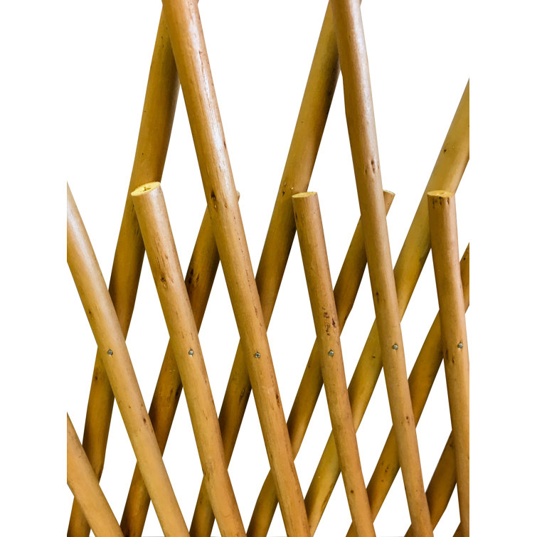 MGP 40'' H x 125'' W Wood Expanding Trellis Wayfair Canada